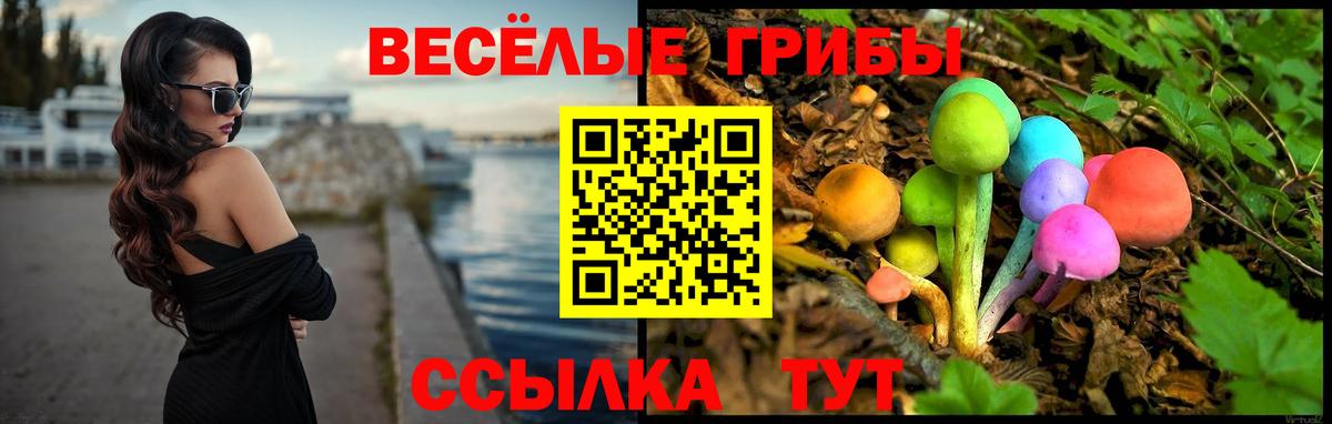Долгопрудный  Галлюциногенные грибы прущие грибы  Вход с VPN 