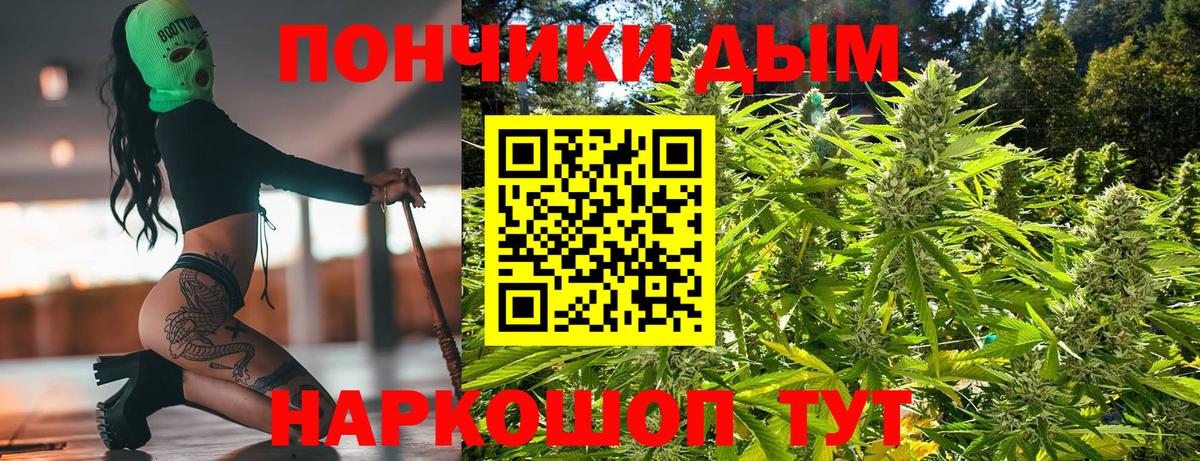 Канабис ГИДРОПОН Долгопрудный